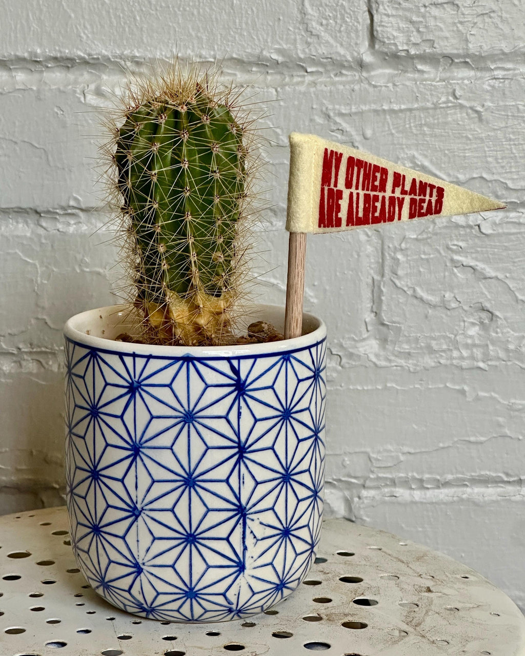 Cactus in a pot with a geometric pattern, next to a small flag with text, on a white surface.