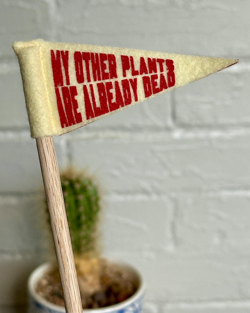 Small pennant flag attached to a wooden dowel, red ink reads "My other plants are already dead"