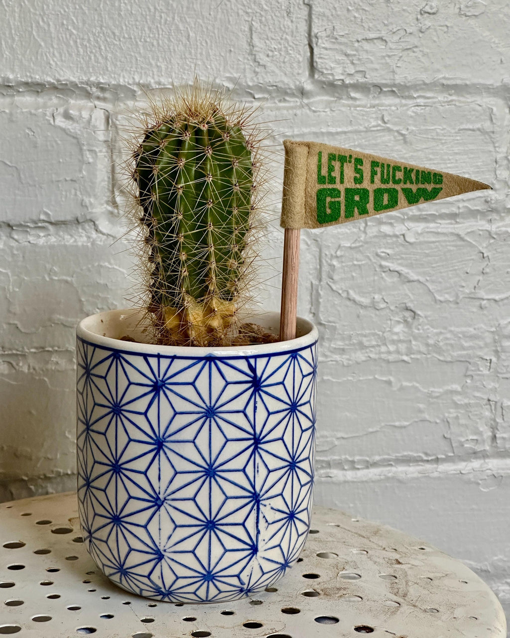 Cactus in a pot with a small felt pennant reading 'Let's Fucking Grow' against a white brick wall.